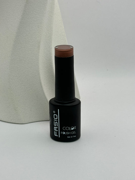 Fasio Color Gel - 5 ml #040